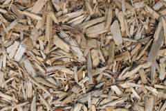 biomass boilers Cairisiadar